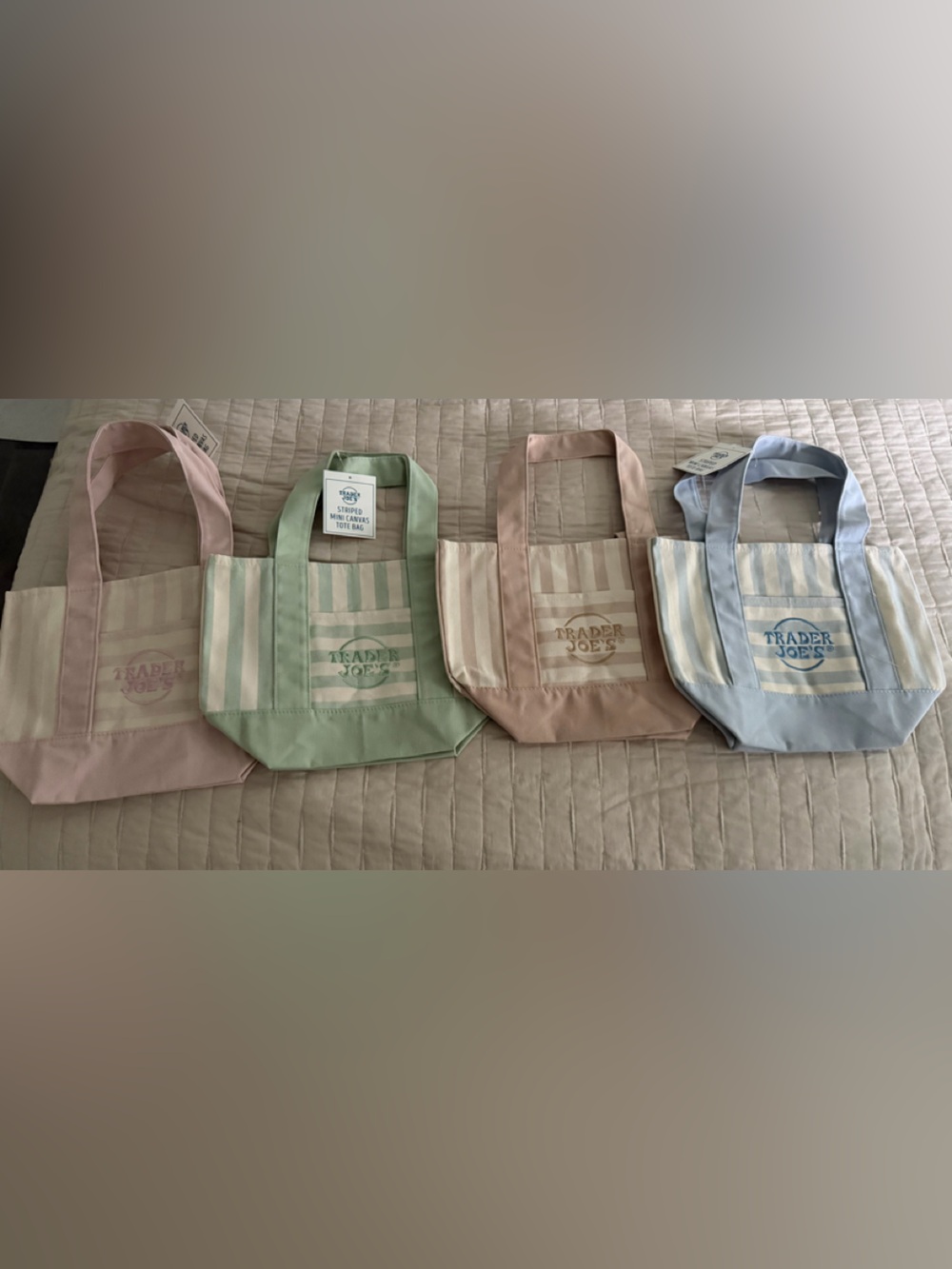 Trader Joe's Pastel Stripe Canvas Tote - Pink, Green, Tan, Blue